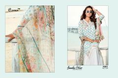 SAADIA NOOR BY COSMOS (6)