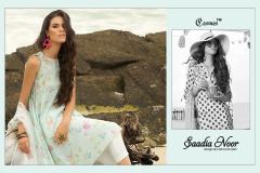 SAADIA NOOR BY COSMOS (7)